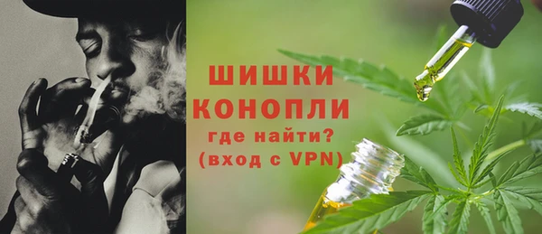 стаф Гусь-Хрустальный
