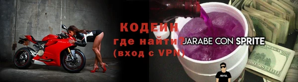 индика Майский