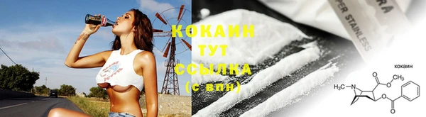 скорость Гусев