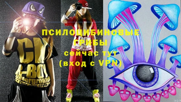 скорость Гусев