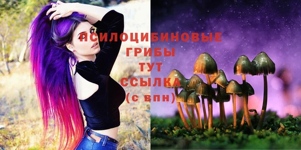стаф Гусь-Хрустальный