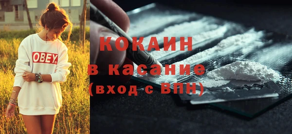 стаф Гусь-Хрустальный