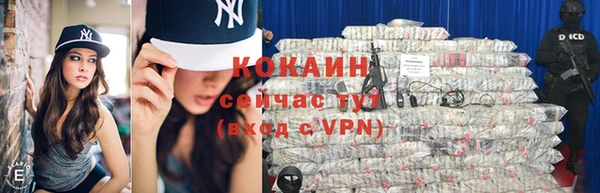 стаф Гусь-Хрустальный