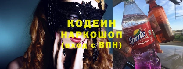 стаф Гусь-Хрустальный