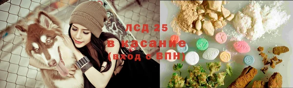 стаф Гусь-Хрустальный