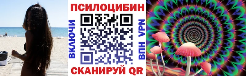 купить  цена  Невьянск  Галлюциногенные грибы GOLDEN TEACHER 